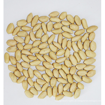 New Crop Blanched Peanut Kernel (25/29, 29/33, 35/39, 41/51, 51/61)